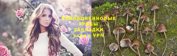 спиды Сафоново