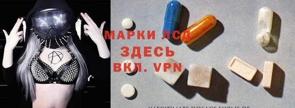 мдпв Гатчина
